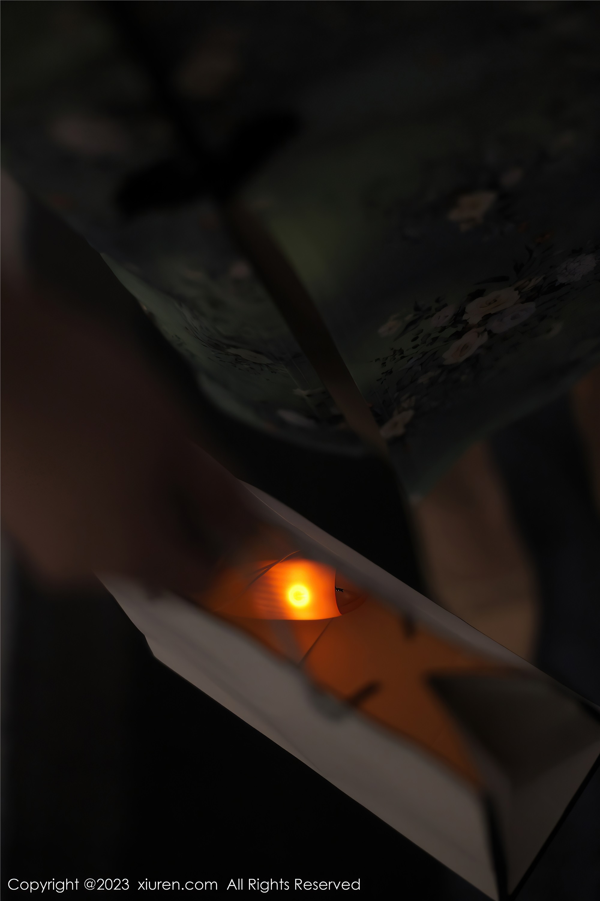 XiuRen秀人网  2023.03.24 NO.6464 Arude薇薇